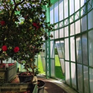 On aime toujours autant Bruxelles 🤩.#brussels #belgium #garden